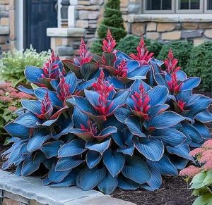 Хоста Грин Фог купить по цене от 669р. в интернет-магазине «Посадика» с доставкой почтой в в Куртамыше и по всей России – [изображение №1].