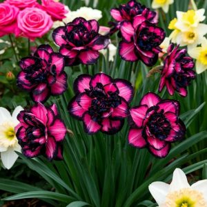 Нарцисс Золотая Корона купить по цене от 2000р. в интернет-магазине «Посадика» с доставкой почтой в в Куртамыше и по всей России – [изображение №1].