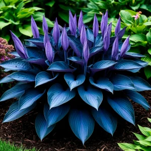 Хоста Сикрет Гров купить по цене от 570р. в интернет-магазине «Посадика» с доставкой почтой в в Куртамыше и по всей России – [изображение №1].