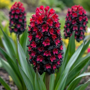 Гиацинт Джем Стоун купить по цене от 2099р. в интернет-магазине «Посадика» с доставкой почтой в в Куртамыше и по всей России – [изображение №1].