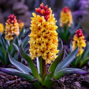 Гиацинт Миднайт Мистери купить по цене от 2099р. в интернет-магазине «Посадика» с доставкой почтой в в Куртамыше и по всей России – [изображение №1].