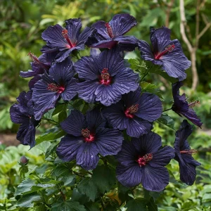 Гибискус Мэджик Момент купить по цене от 699р. в интернет-магазине «Посадика» с доставкой почтой в в Куртамыше и по всей России – [изображение №1].