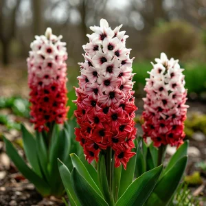 Гиацинт Скай Гарден купить по цене от 2099р. в интернет-магазине «Посадика» с доставкой почтой в в Куртамыше и по всей России – [изображение №1].